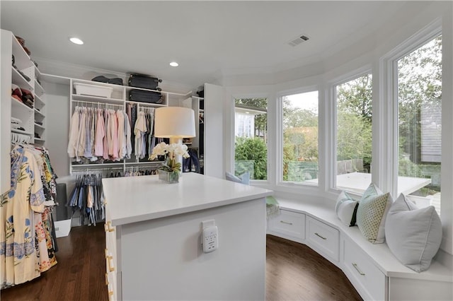 walk in closet featuring dark hardwood / wood-style floors