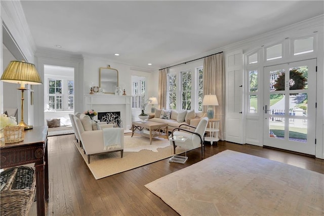 interior space with dark wood-type flooring, a wealth of natural light, and ornamental molding