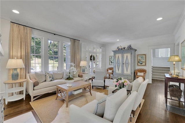 living room with ornamental molding, dark hardwood / wood-style floors, and a wealth of natural light