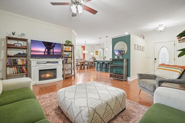 living area featuring ornamental molding, a ceiling fan, and wood finished floors