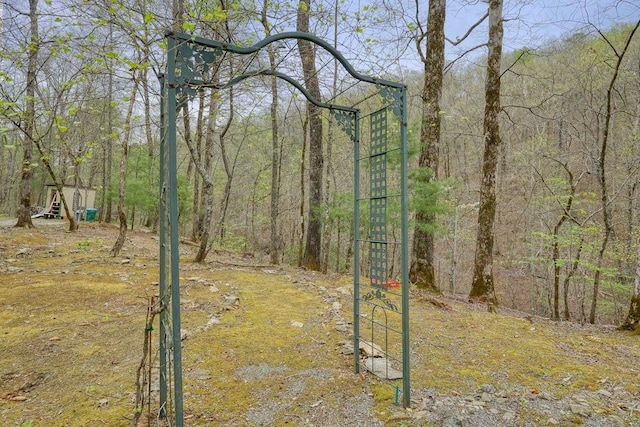 view of yard featuring a forest view