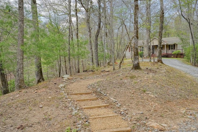 view of yard featuring covered porch and driveway