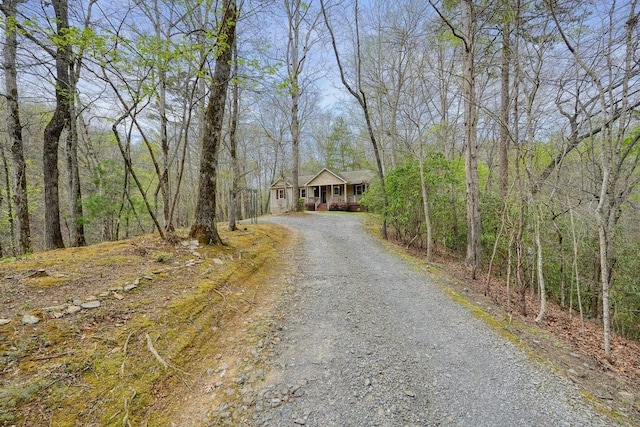 view of road with a wooded view and gravel driveway
