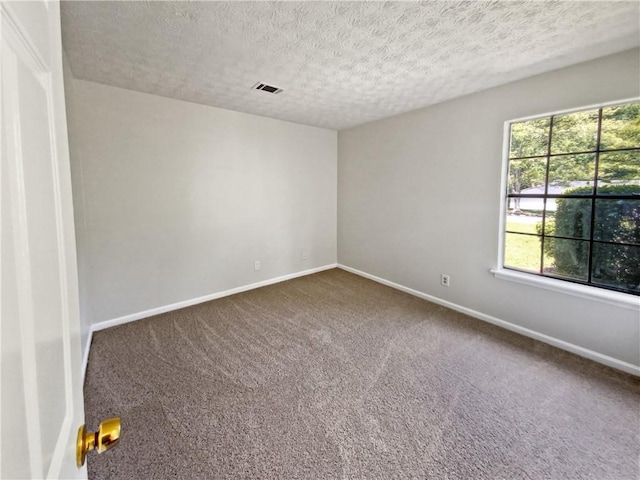 unfurnished room featuring a textured ceiling, carpet floors, and plenty of natural light