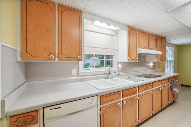 kitchen featuring a wealth of natural light, electric cooktop, white dishwasher, under cabinet range hood, and a sink