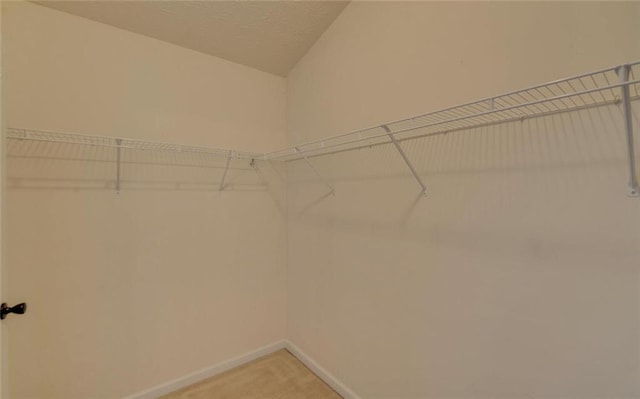 walk in closet with light colored carpet