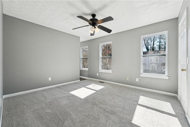 carpeted empty room featuring a textured ceiling, a wealth of natural light, and baseboards