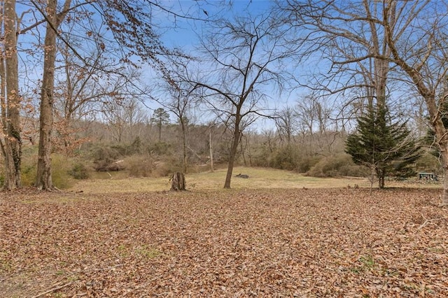 view of local wilderness