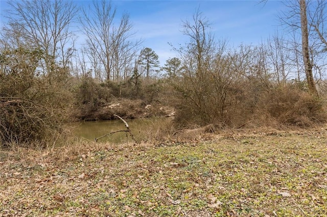 view of local wilderness featuring a water view