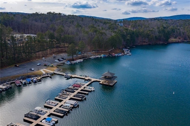 drone / aerial view with a water and mountain view