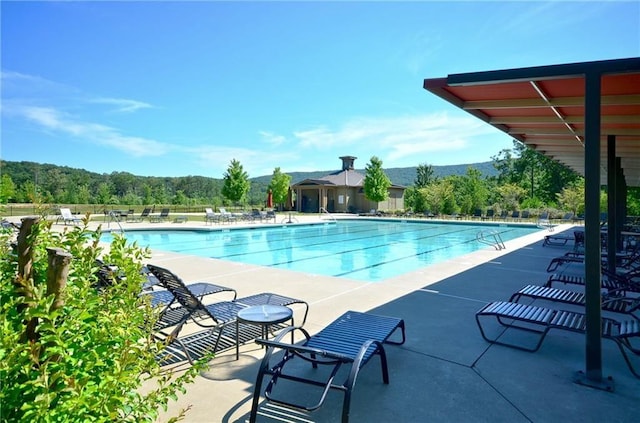 view of pool featuring a patio