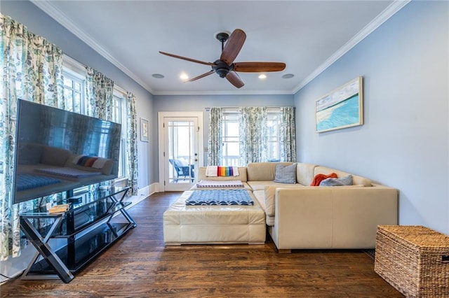 living room with crown molding, ceiling fan, and dark hardwood / wood-style flooring