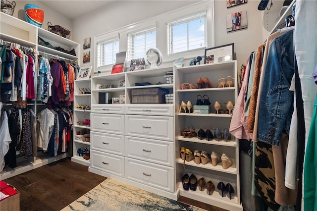 walk in closet with dark wood-style floors