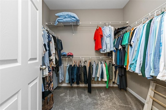 spacious closet featuring carpet floors