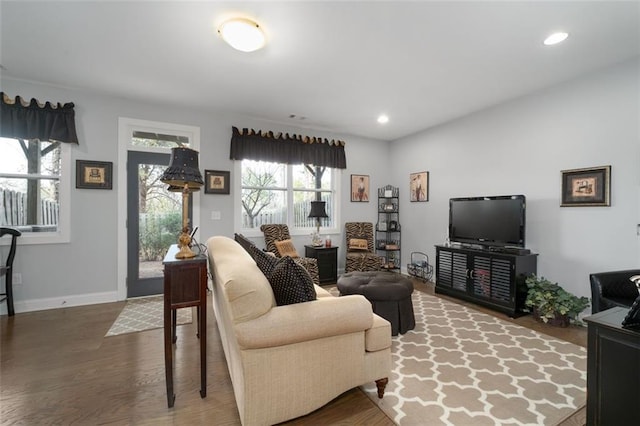 living room featuring hardwood / wood-style flooring