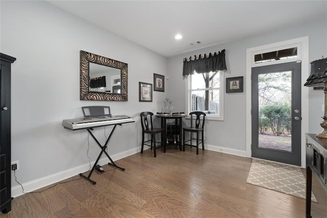 entryway featuring hardwood / wood-style floors