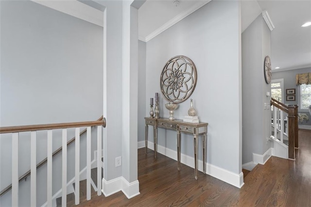 corridor with crown molding and dark hardwood / wood-style floors