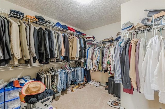 spacious closet featuring carpet floors