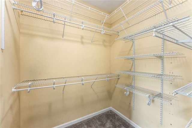 898 Oak St SW Unit 1301, Atlanta, GA 30310 - walk in closet featuring carpet floors
