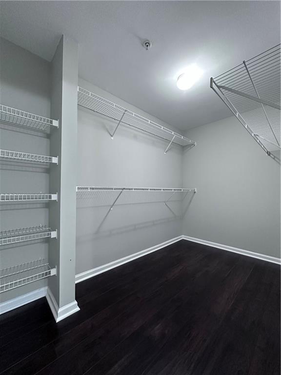 walk in closet featuring dark wood-type flooring