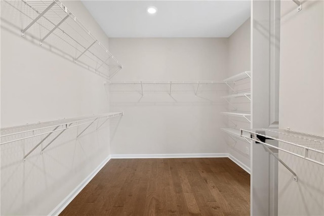 walk in closet featuring dark hardwood / wood-style floors