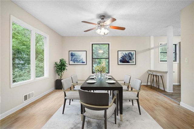 dining room featuring light hardwood / wood-style floors, ceiling fan, and plenty of natural light