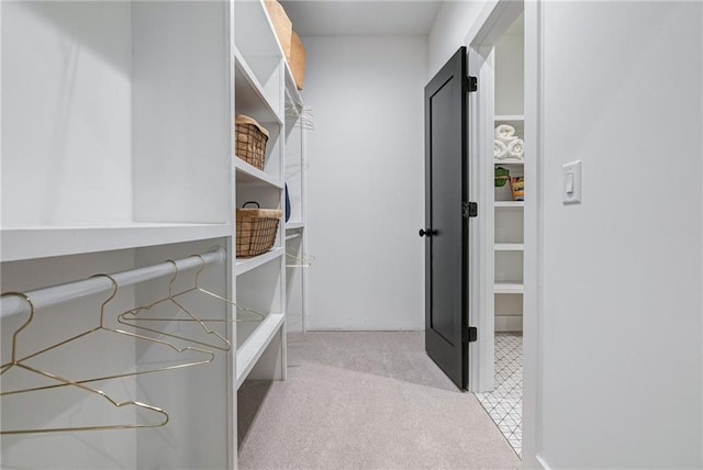 view of spacious closet