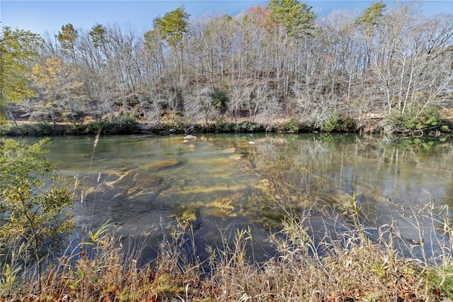 275 River Cliff Dr, Cornelia, GA 30531 - water view