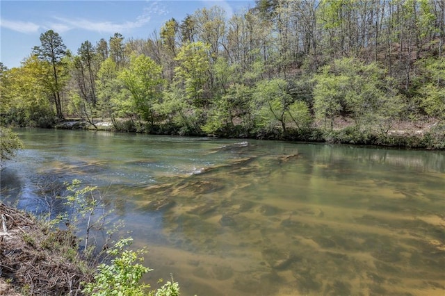 275 River Cliff Dr, Cornelia, GA 30531 - water view