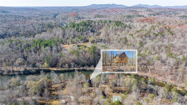 275 River Cliff Dr, Cornelia, GA 30531 - drone / aerial view featuring a water and mountain view and a forest view