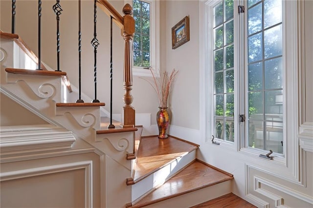 interior space featuring a healthy amount of sunlight and wood-type flooring