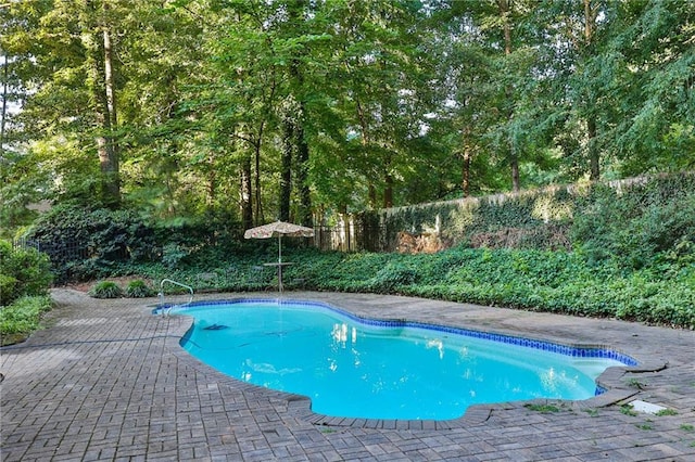 view of pool featuring a patio