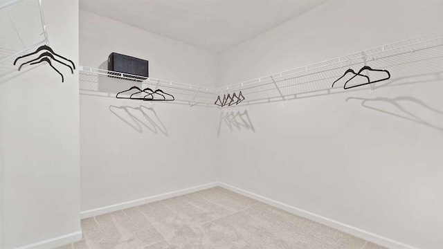 walk in closet featuring carpet flooring