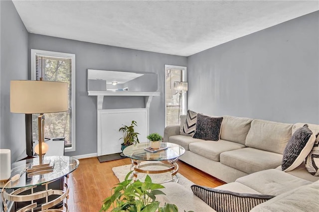 living area with baseboards and wood finished floors