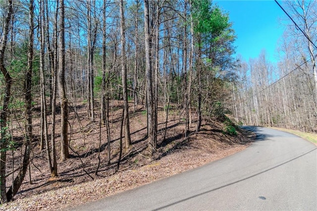 LT694 Satsuma Ct, Ellijay GA, 30540 land for sale