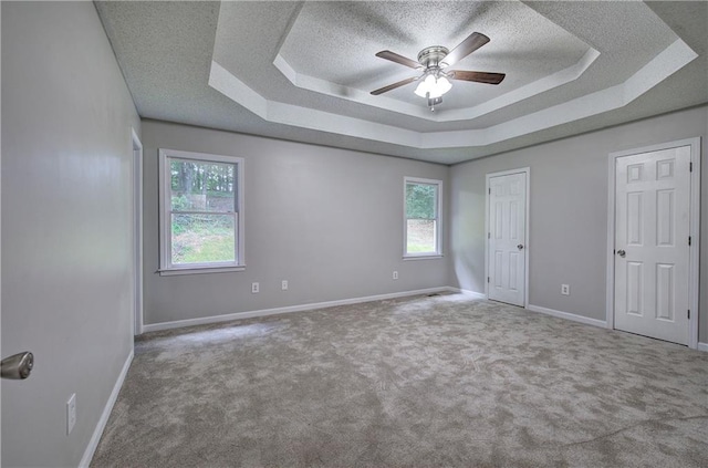 17 Fawn Ridge Dr SW, Cartersville, GA 30120 - unfurnished bedroom featuring a textured ceiling, a tray ceiling, carpet flooring, and multiple windows
