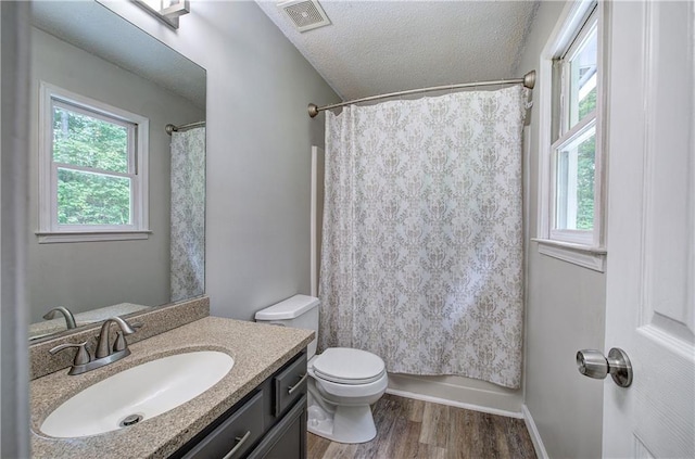 17 Fawn Ridge Dr SW, Cartersville, GA 30120 - bathroom with vanity, wood finished floors, plenty of natural light, and a textured ceiling