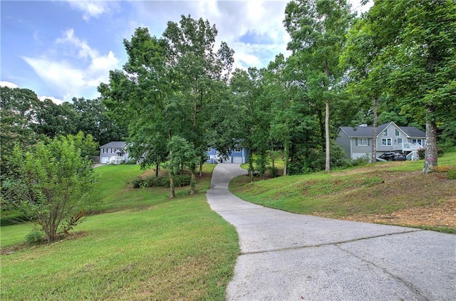 17 Fawn Ridge Dr SW, Cartersville, GA 30120 - view of community with a lawn