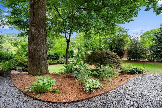 1374 Riverside Dr, Gainesville, GA 30501 - view of yard