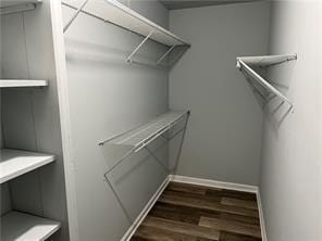 walk in closet featuring dark hardwood / wood-style flooring