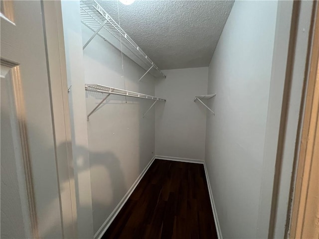 spacious closet featuring dark hardwood / wood-style floors