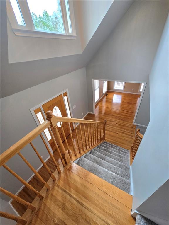 basement with gas water heater