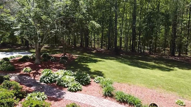 drone / aerial view with a forest view