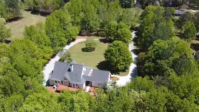 bird's eye view