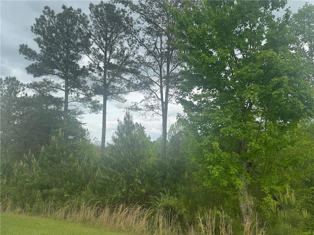 L231 Ridge Pt, Blairsville GA, 30512 land for sale