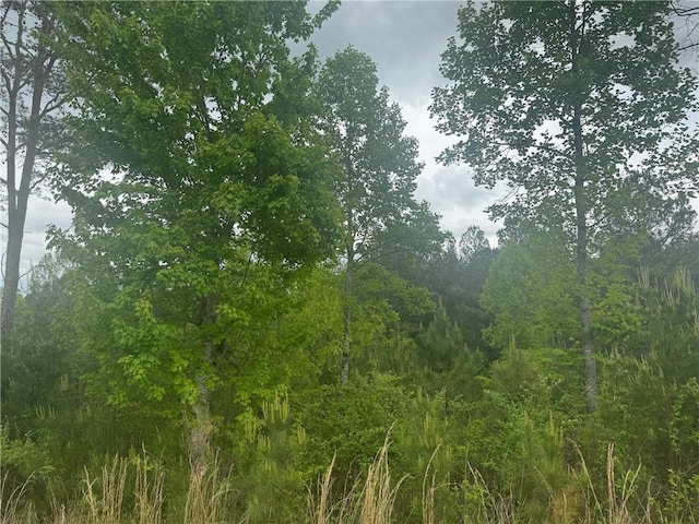 Listing photo 2 for L231 Ridge Pt, Blairsville GA 30512