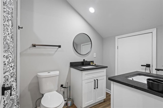 bathroom featuring a sink, toilet, two vanities, and wood finished floors