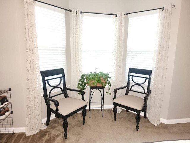 5449 Festival Ave, Fairburn, GA 30213 - sitting room featuring carpet flooring and baseboards