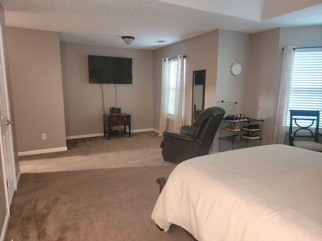 5449 Festival Ave, Fairburn, GA 30213 - carpeted bedroom with multiple windows, baseboards, and a textured ceiling