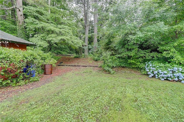 122 Vickery Dr, Fairburn, GA 30213 - view of yard featuring a wooded view